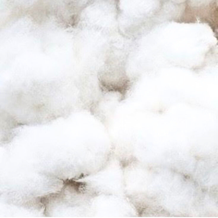 Dacron Polyester Fiber