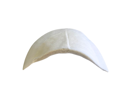 Shoulder Pad